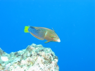 img_0504 img_0504
