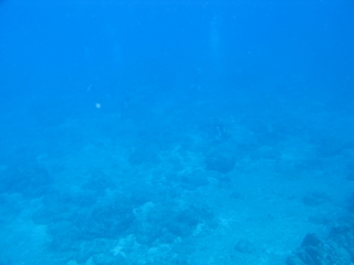 img_0506 img_0506