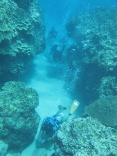 img_0535 img_0535