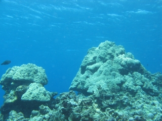 img_0540 img_0540