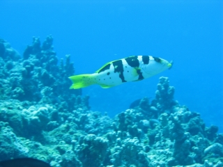 img_0553 img_0553