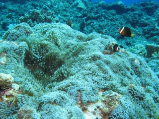 img_0560 img_0560