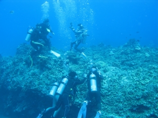 img_0566 img_0566