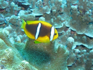img_0574 img_0574