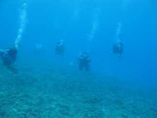 img_0597 img_0597