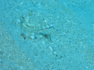 img_0615 img_0615
