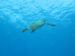 img_0634 img_0634