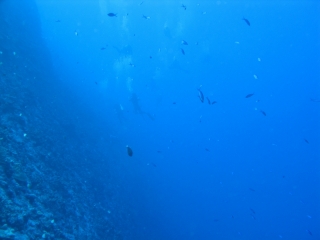 img_0670 img_0670