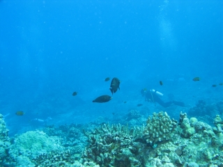 img_0673 img_0673