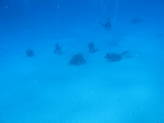 img_0716 img_0716