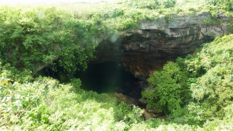 P1000480