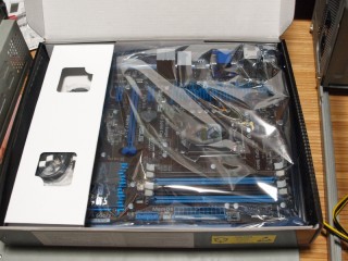 P9076849