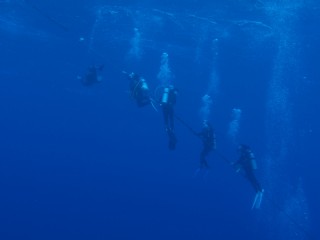 P2028423