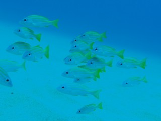 P3098831