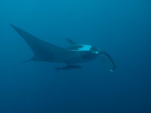 P5040518