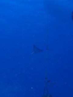 P8123461