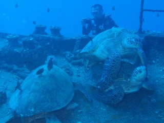 P8113306