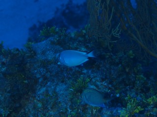 P6294700