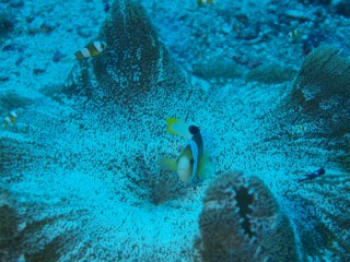 P6304906