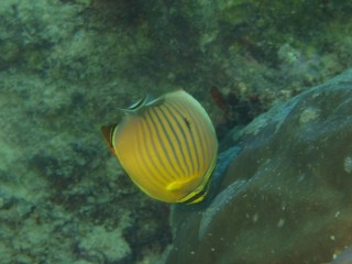 P6304941
