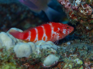 P7135562