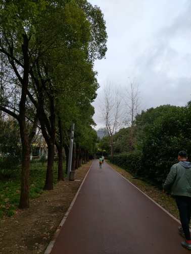 wp-1577025422392 image