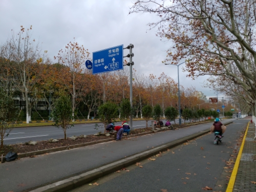 wp-1577025523283 image