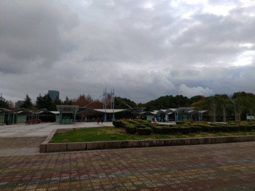 wp-1577025593387 image