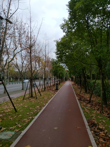 wp-1577025642510 image