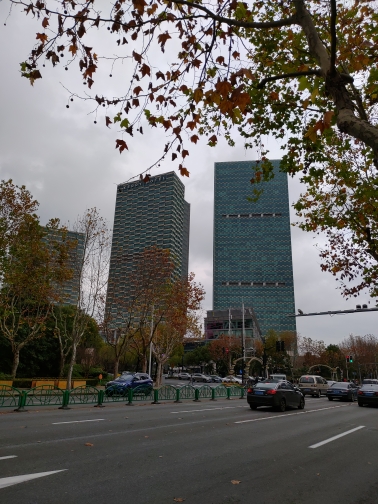 wp-1577025884676 image