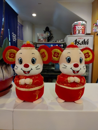 wp-1577026913518 image